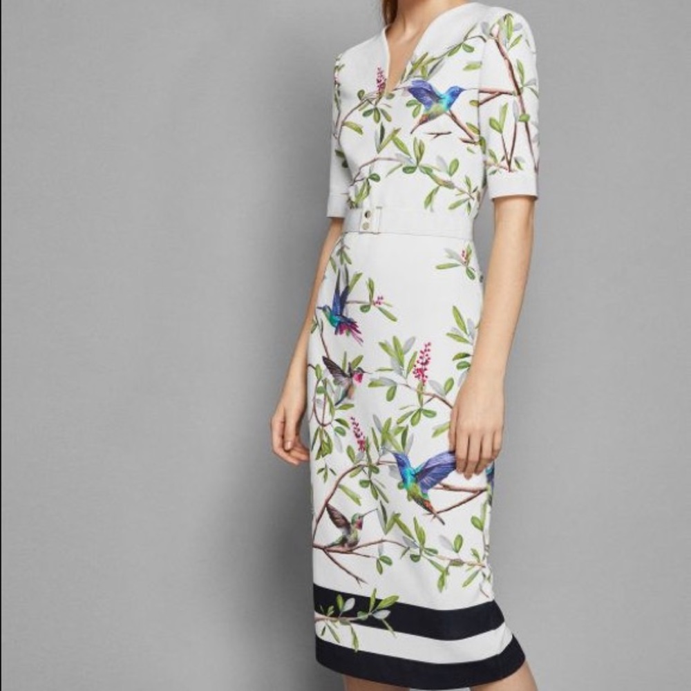 Ted Baker Hummingbird dress